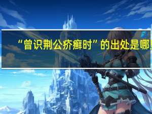 “曾识荆公疥癣时”的出处是哪里