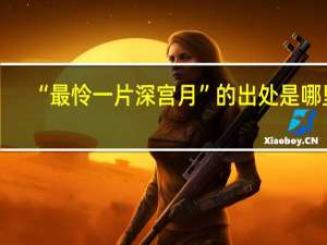 “最怜一片深宫月”的出处是哪里