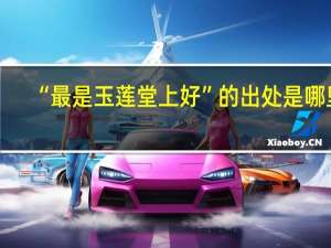 “最是玉莲堂上好”的出处是哪里