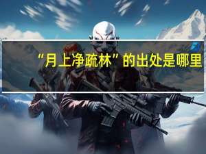 “月上净疏林”的出处是哪里