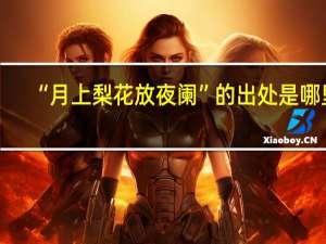 “月上梨花放夜阑”的出处是哪里