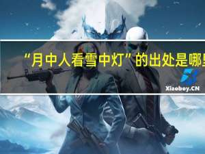 “月中人看雪中灯”的出处是哪里