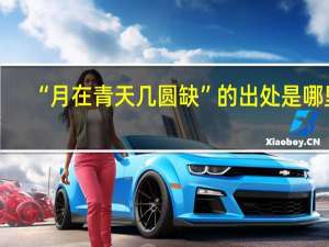 “月在青天几圆缺”的出处是哪里