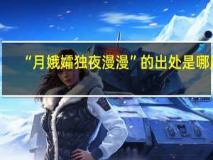“月娥孀独夜漫漫”的出处是哪里