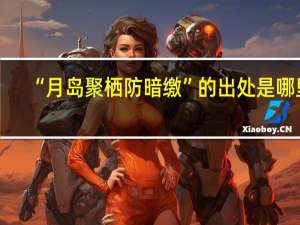 “月岛聚栖防暗缴”的出处是哪里