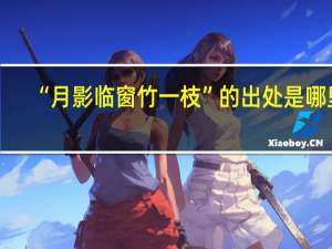 “月影临窗竹一枝”的出处是哪里