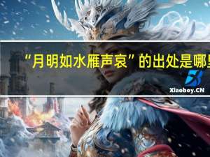 “月明如水雁声哀”的出处是哪里
