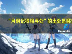 “月明记得相寻处”的出处是哪里