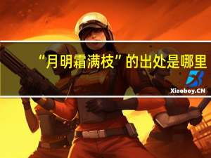 “月明霜满枝”的出处是哪里