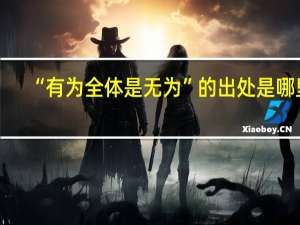 “有为全体是无为”的出处是哪里