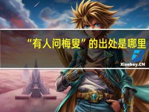 “有人问梅叟”的出处是哪里