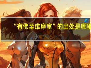 “有佛至维摩室”的出处是哪里