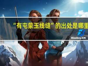 “有屯蒙玉线缝”的出处是哪里