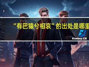 “有巴猿兮相哀”的出处是哪里