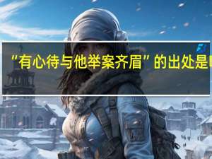 “有心待与他举案齐眉”的出处是哪里