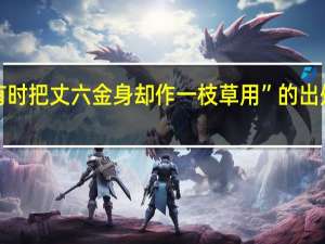 “有时把丈六金身却作一枝草用”的出处是哪里