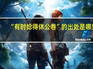 “有时捻得休公卷”的出处是哪里