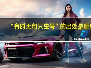 “有时无句只虫号”的出处是哪里