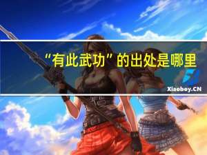 “有此武功”的出处是哪里