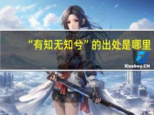 “有知无知兮”的出处是哪里