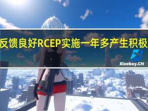 “朋友圈”反馈良好 RCEP实施一年多产生积极外溢和示范效应