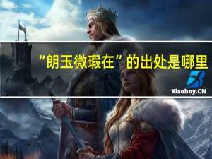 “朗玉微瑕在”的出处是哪里