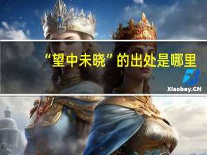 “望中未晓”的出处是哪里