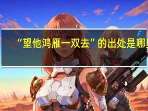 “望他鸿雁一双去”的出处是哪里