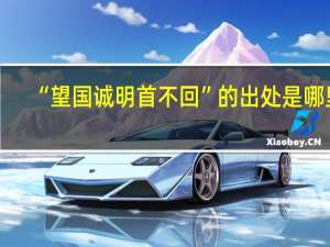 “望国诚明首不回”的出处是哪里