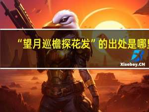 “望月巡檐探花发”的出处是哪里