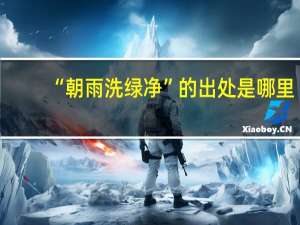 “朝雨洗绿净”的出处是哪里