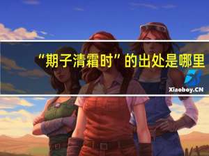 “期子清霜时”的出处是哪里