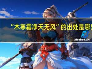 “木寒霜净天无风”的出处是哪里