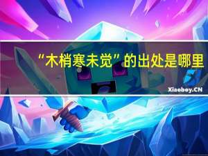 “木梢寒未觉”的出处是哪里