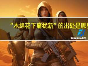 “木绵花下痛犹新”的出处是哪里