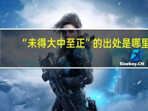 “未得大中至正”的出处是哪里