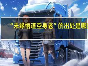 “未缘悟道空身老”的出处是哪里