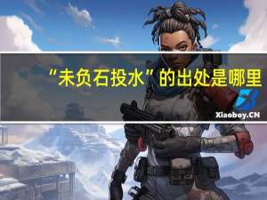 “未负石投水”的出处是哪里