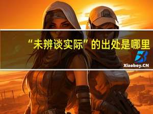 “未辨谈实际”的出处是哪里