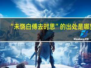 “未饶白傅去时思”的出处是哪里