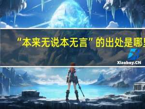 “本来无说本无言”的出处是哪里