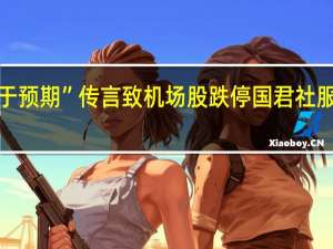 “机场免税扣点低于预期”传言致机场股跌停 国君社服刘越男辟谣非本人发布