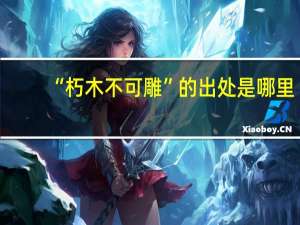 “朽木不可雕”的出处是哪里