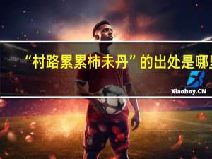 “村路累累柿未丹”的出处是哪里