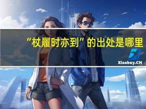 “杖履时亦到”的出处是哪里