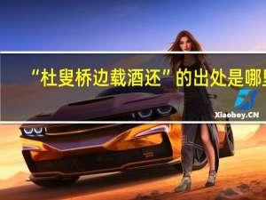 “杜叟桥边载酒还”的出处是哪里
