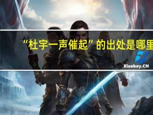 “杜宇一声催起”的出处是哪里