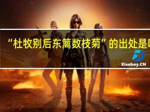 “杜牧别后东篱数枝菊”的出处是哪里