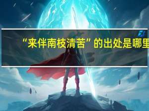 “来伴南枝清苦”的出处是哪里