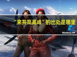 “来共高高峰”的出处是哪里